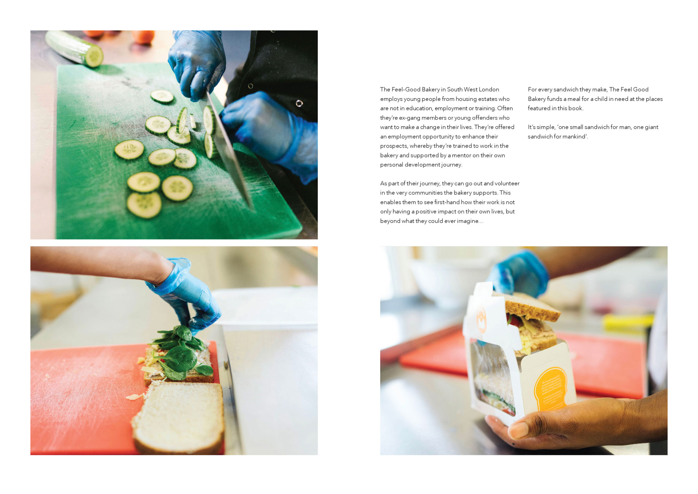 Introduction pages of the Feel Good Stories